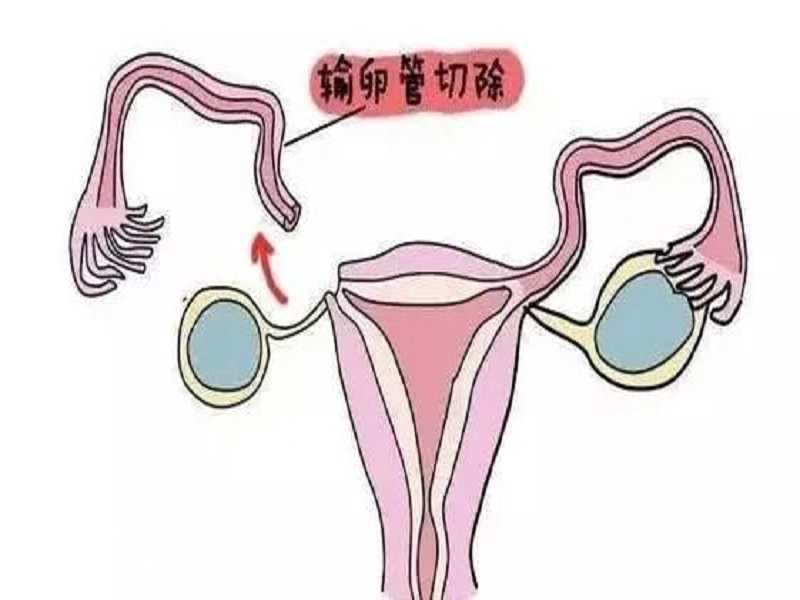试管婴儿捐卵供卵上海，医院是如何接受