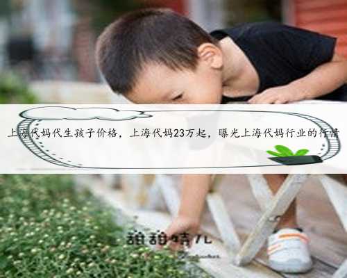 上海代妈代生孩子价格，上海代妈23万起，曝光上海代妈行业的行情