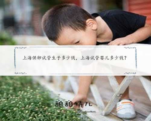 上海供卵试管生子多少钱，上海试管婴儿多少钱？