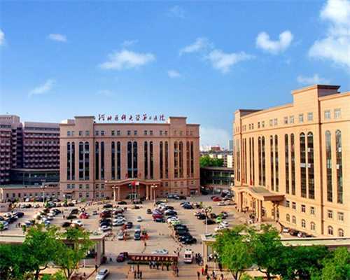 
              输卵管和子宫切除一半还可以做试管婴儿怀孕吗？
            