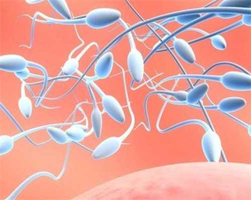 如何提高试管婴儿冻胚的移植成功率？