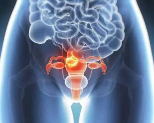 试管促排期间注意事项有哪些！试管进入周期后这些注意事项别松懈！