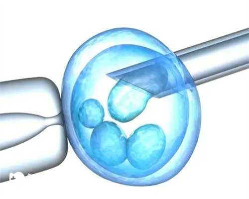 试管婴儿促排卵会胖吗