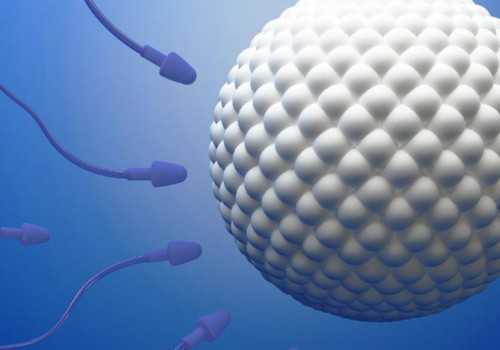 沈阳供卵包男孩,子宫破裂有什么饮食禁忌？