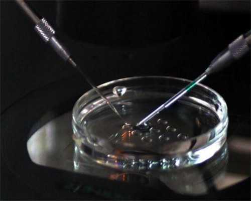 女性卵子少会影响做柬埔寨第三代试管婴儿成功率吗？