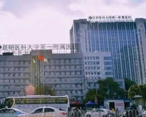 代生包成功套餐_包男孩包成功,怀孕五个月需要注意哪些事项？怀孕五个月是否