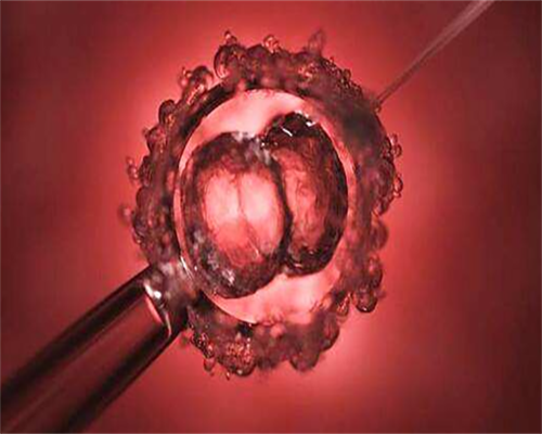 试管移植后怎样防止生化？试管移植生化有什么症状和反应？