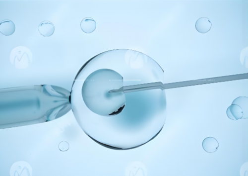 宝宝满月理发吉祥语已公布？一代寻找试管代生价格！