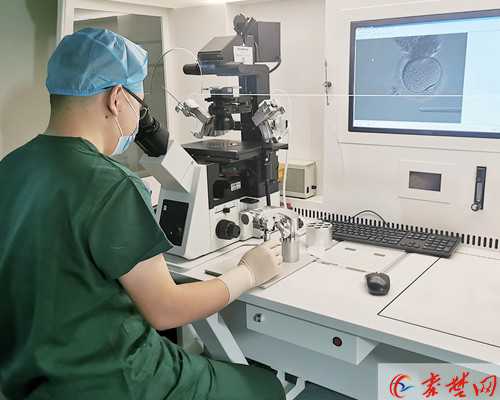 东莞私立试管医院成功！最新价格一览！