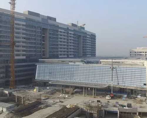 做国内代生孩子价格囊胚培育更简单吗？做国内代生孩子价格囊胚有优点吗？