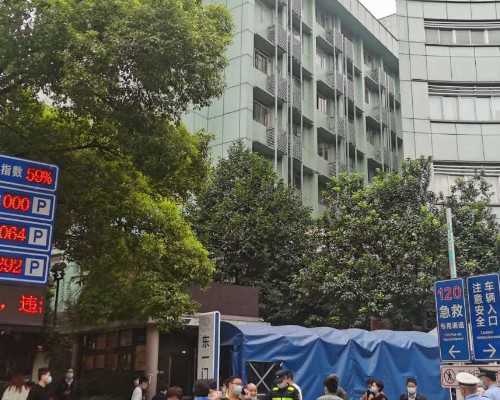 「鲜胚和冻胚」拮抗剂方案鲜胚好还是冻胚好？