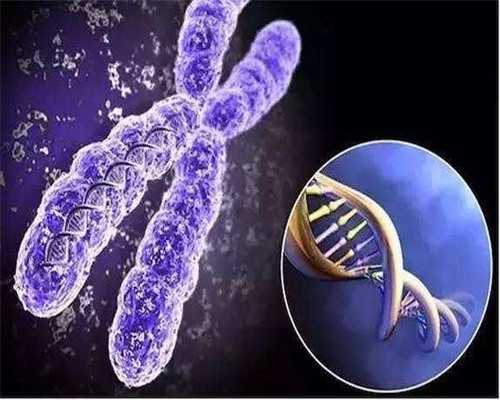 上海代怀花多少钱，科技时代的代生宝宝之路