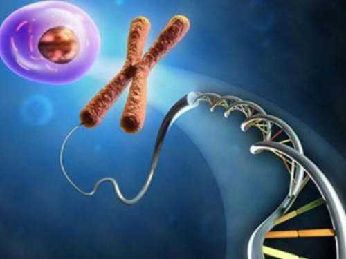 三代试管做一次大约多少钱？这份费用清单请收藏好