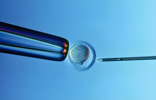 专业的代孕机构,揭阳揭东区试管婴儿可以做吗？揭阳看不孕不育,哪个医院比较