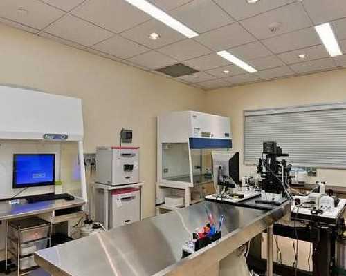 囊胚移植第7天为什么会出血！囊胚移植第七天出血原因！