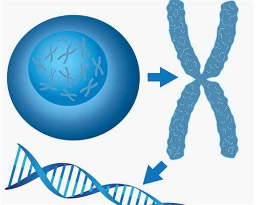找试管代孕代妈,卵巢早衰做试管成功率多少